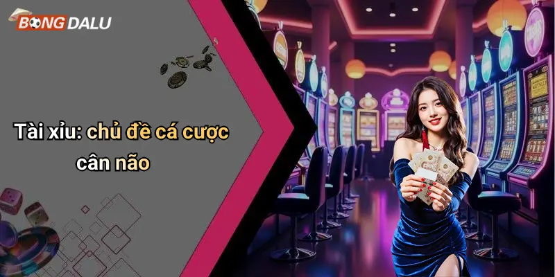 Tài xỉu: chủ đề cá cược cân não