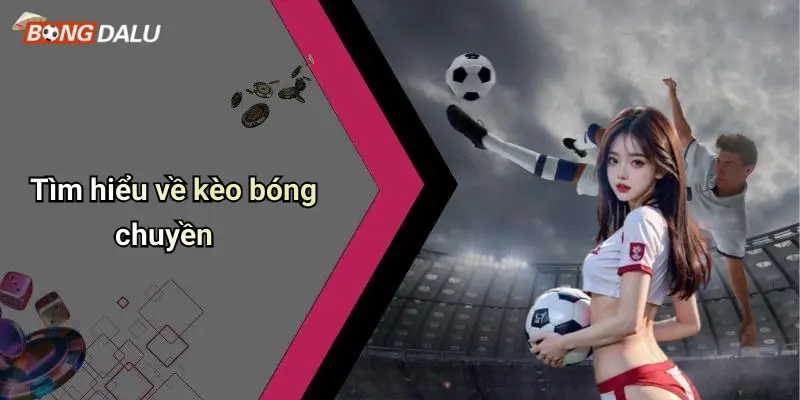Tìm hiểu về kèo bóng chuyền