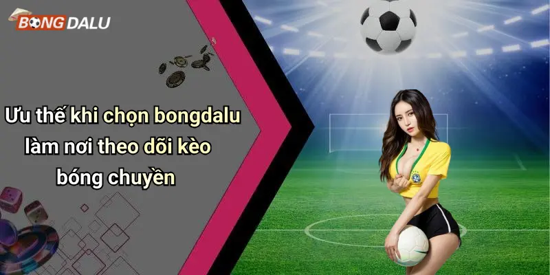 Ưu thế khi chọn bongdalu làm nơi theo dõi kèo bóng chuyền