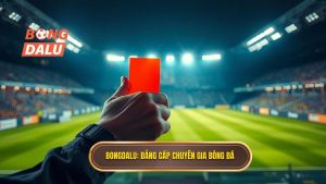 Bongdalu_ Đẳng cấp chuyên gia bóng đá