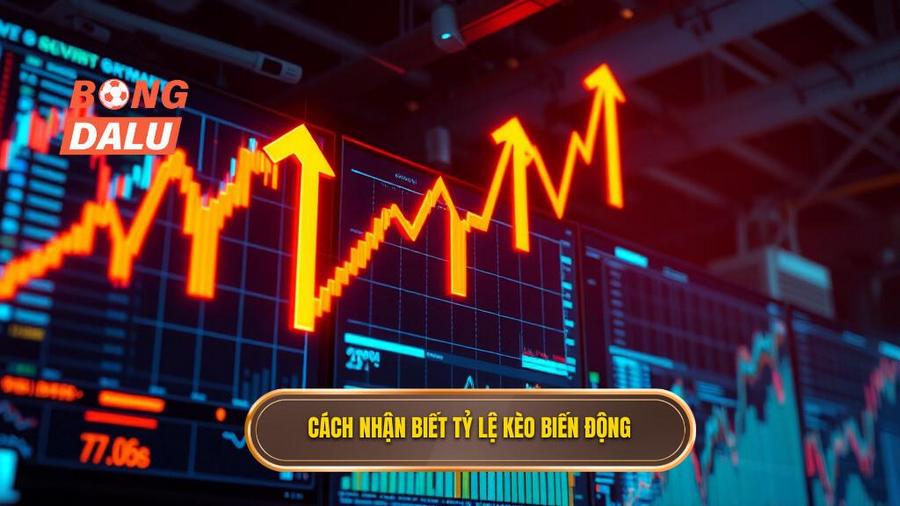 3. Cách nhận biết tỷ lệ kèo biến động nhanh chóng