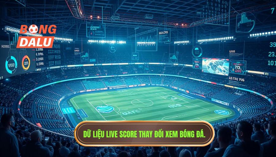 Phân tích đa chiều: Tại sao dữ liệu Live Score lại thay đổi cách chúng ta xem bóng đá?